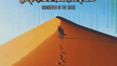 ether.unlimited - Wanderer In The Oasis
